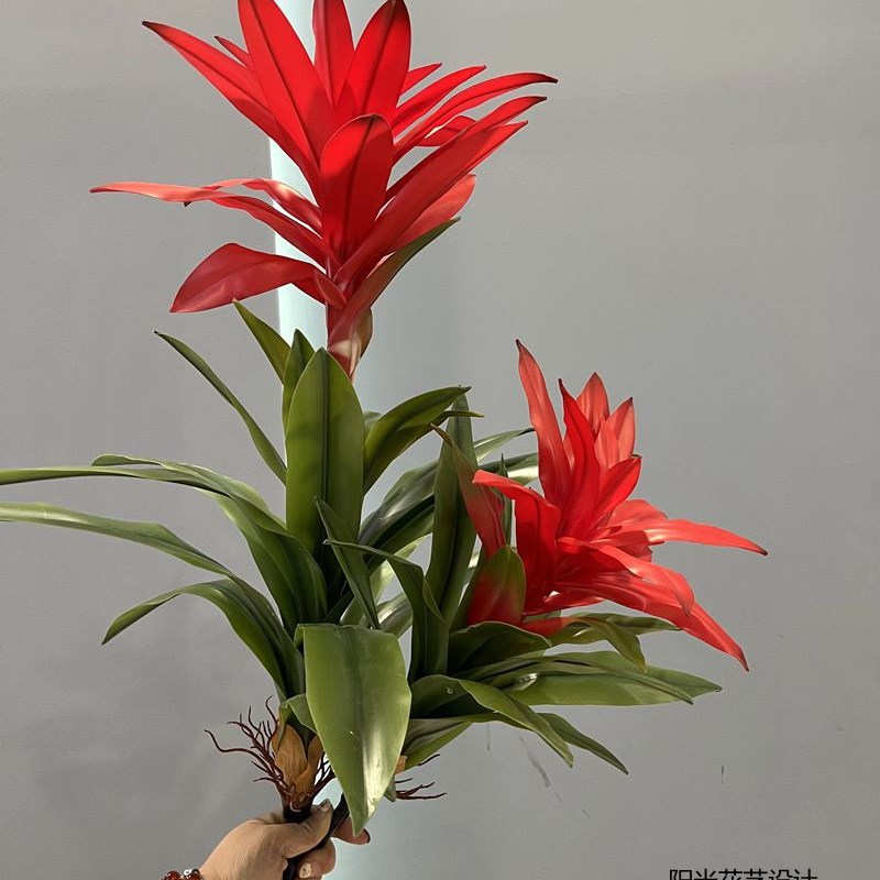 仿真鸿运当头 手感软胶超仿真鸿运当头单枝盆栽装饰植物 造景绿植