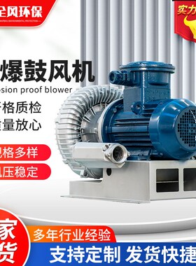 防爆高压鼓风机防爆等级DIIBT4/DIICT4 工业高压漩涡真空气泵