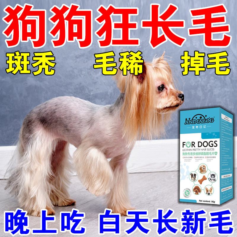 狗掉毛的药爆毛粉增毛剂斑秃毛发稀疏不长毛狗狗快速长毛卵磷脂片