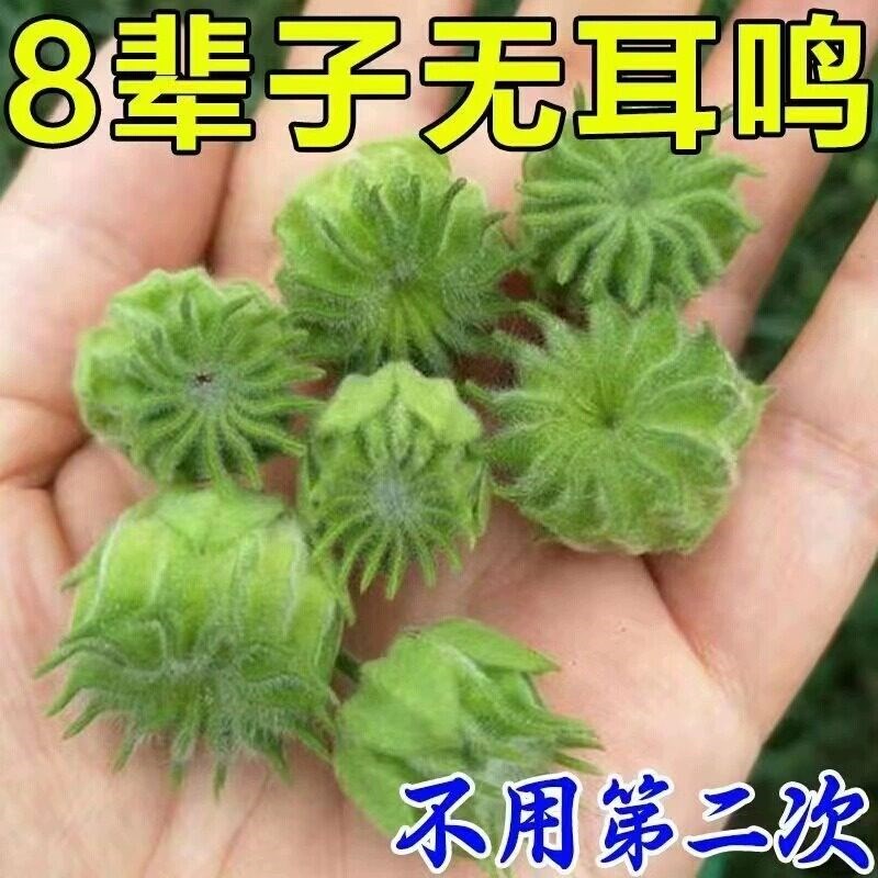 十万人都在用 用后 洱不鸣 耳不嗡 洱部健康 买2送1 买3送2