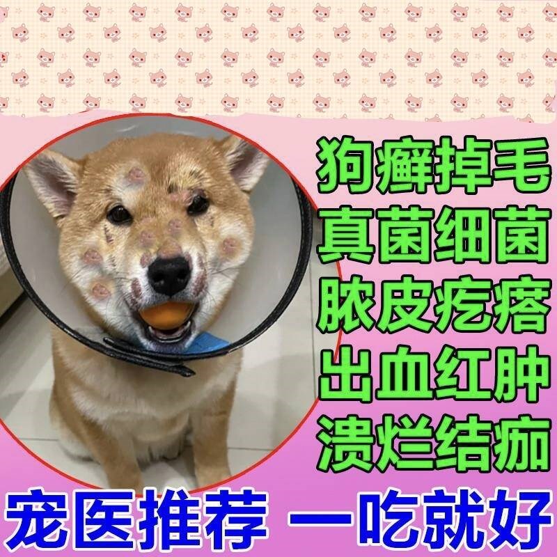 皮狗狗真菌感染口服药狗藓掉毛长癣牛肉锭皮肤病专用药