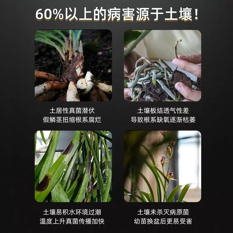 兰花专用土透气营养土 松树皮植料 君子兰蝴蝶兰铁皮石斛多肉基质