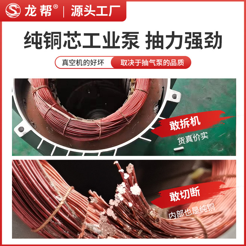 全自动真空食品包装机商用大型密封机工业抽真空打包机封口机干湿