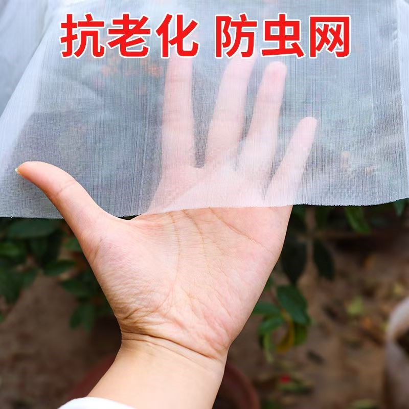 防虫网种菜专用80目40目加厚窗纱网罩大棚果树菜地防鸟网养殖围网