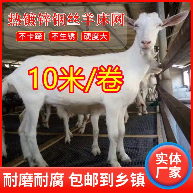 热浸镀锌钢丝网漏粪板羊床养殖网围栏狗笼牛栏圈羊网果园圈地防护