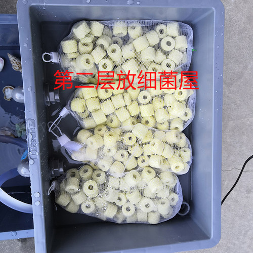 龟箱乌龟缸龟缸龟盒过滤盒鱼箱鱼缸塑料箱专用乌龟箱晒背台水族箱