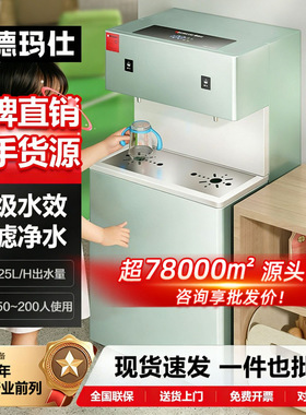 德玛仕电热幼儿园学校直饮机带过滤全自动 商用不锈钢净水饮水机