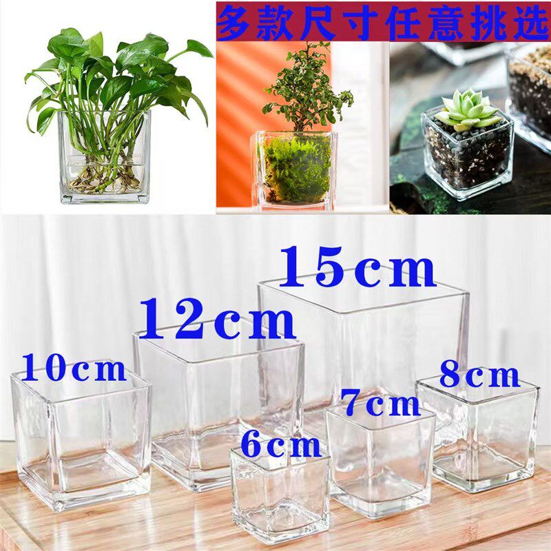 整箱装简约水培透明玻璃花瓶正方形花盆绿萝铜钱草客厅摆件方缸