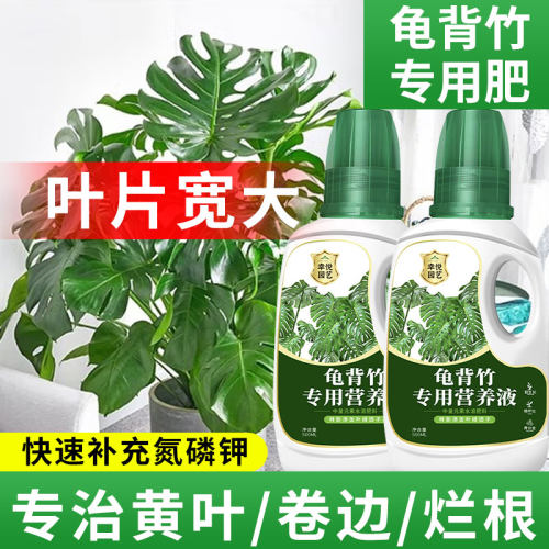 水培龟背竹营养液花肥叶面肥叶子发黄天南星科龟背竹专用肥液体肥