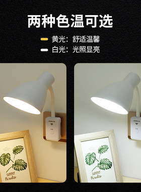 遥控定时调光LED小夜灯节能卧室宿舍床头台灯带开关灯罩插座插头