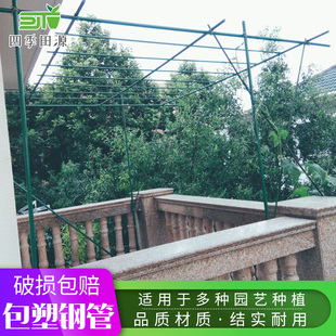 园艺包塑钢管塑包爬藤支架爬藤类花架花支柱大棚骨架家庭种菜
