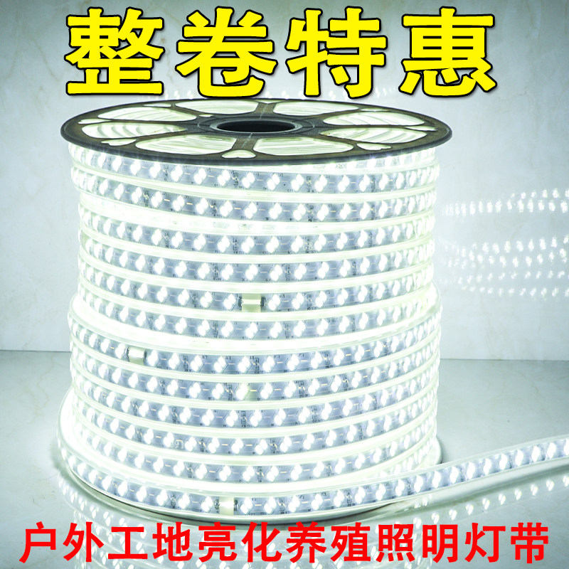 一卷100米灯带led工程亮化照明工地养殖园林装饰220v白光暖光灯条