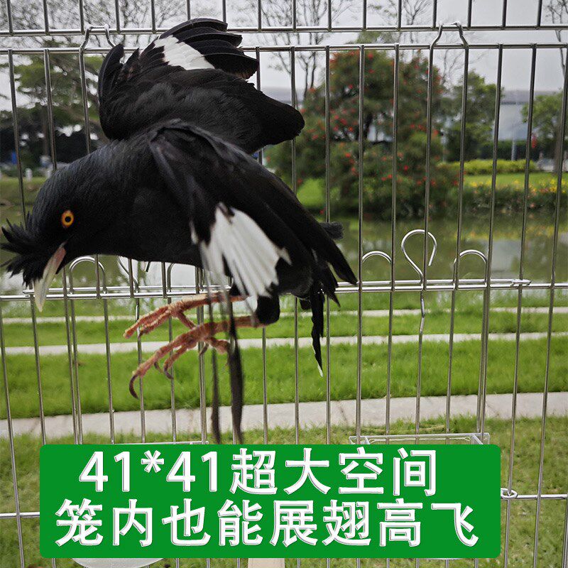 不锈钢八哥笼大号专用鹩哥画眉玄凤家用鹦鹉笼子豪华方形洗澡鸟笼