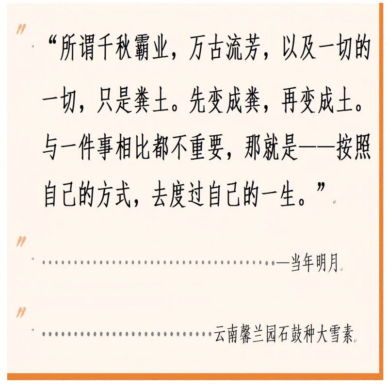 云南丽江石鼓大雪素兰花莲瓣兰露天老种纯白花特级名贵精品素花卉