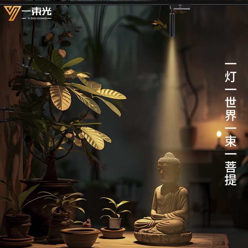 一束光聚光射灯二线轨道茶室博物馆商用餐饮吧台两线led滑轨白色