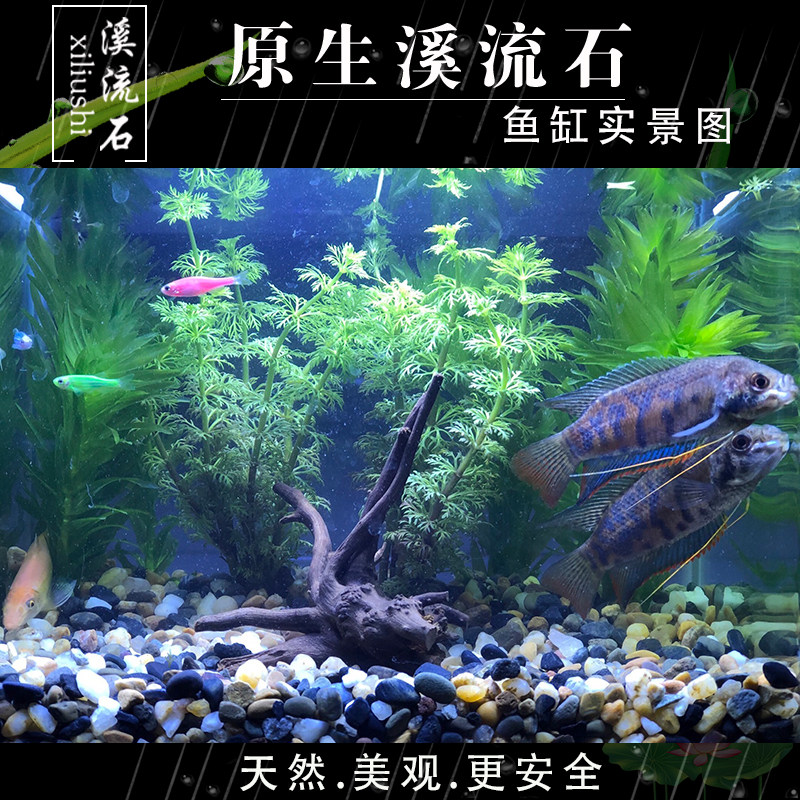 鱼池底部装饰品石头鱼缸里的庭院造景阳台摆件水缸水池小院流水景