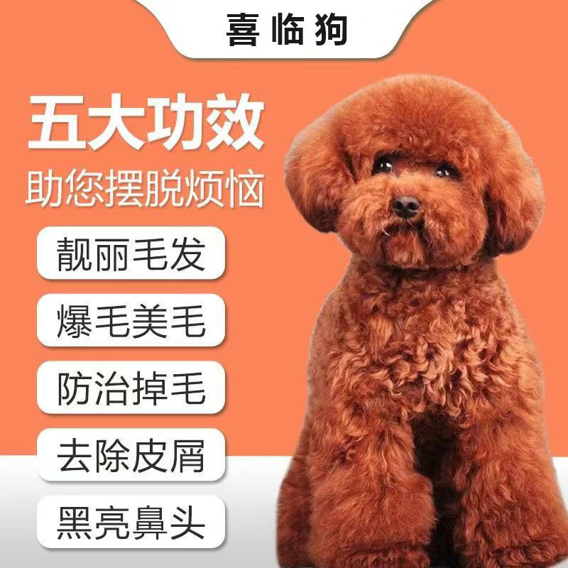 益生菌狗狗卵磷脂亚油酸营养补充剂美毛护肤不掉毛发生长犬猫专用
