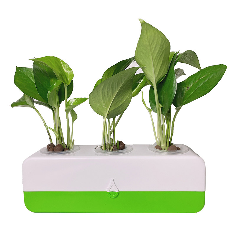 无土栽培蔬菜种植箱水培植物花盆室内水养绿萝花卉创意桌面盆栽