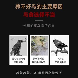 黄鹂鸟饲料专用鸟食鸟粮提性壮膘画眉八哥幼鸟通用营养混合软肉食