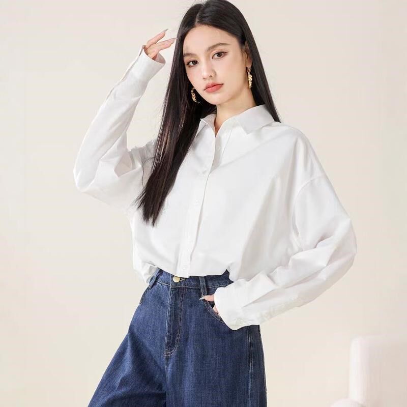 日单防皱免烫凉感短款衬衣2024年新款女设计感高级长袖衬衫上衣