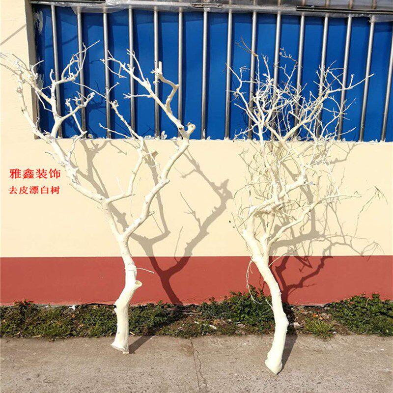 干树枝去皮原木树干枯树枝带分枝带杈树枝室内挂灯干花插花瓶装饰