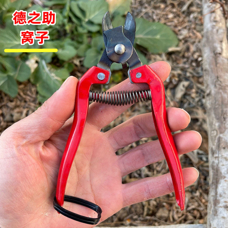 德之助摘水果修剪树枝剪刀稀果剪花椒剪园艺工具疏花蔬果剪窝子剪