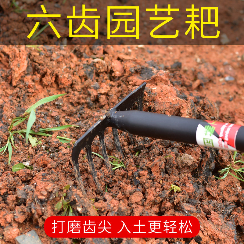 海边挖螺神器蛤蜊耙子赶海工具挖海蛎子蚬子蛏子铁耙家用农用钉耙