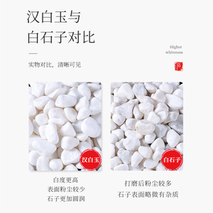 白石子白色小石头鹅卵石铺地碎石庭院阳台花园造景造型装饰小石子