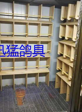 赛鸽组合栖架休息架 鸽具 巢箱 鸽子用品 站架 公棚栖架 定做站架