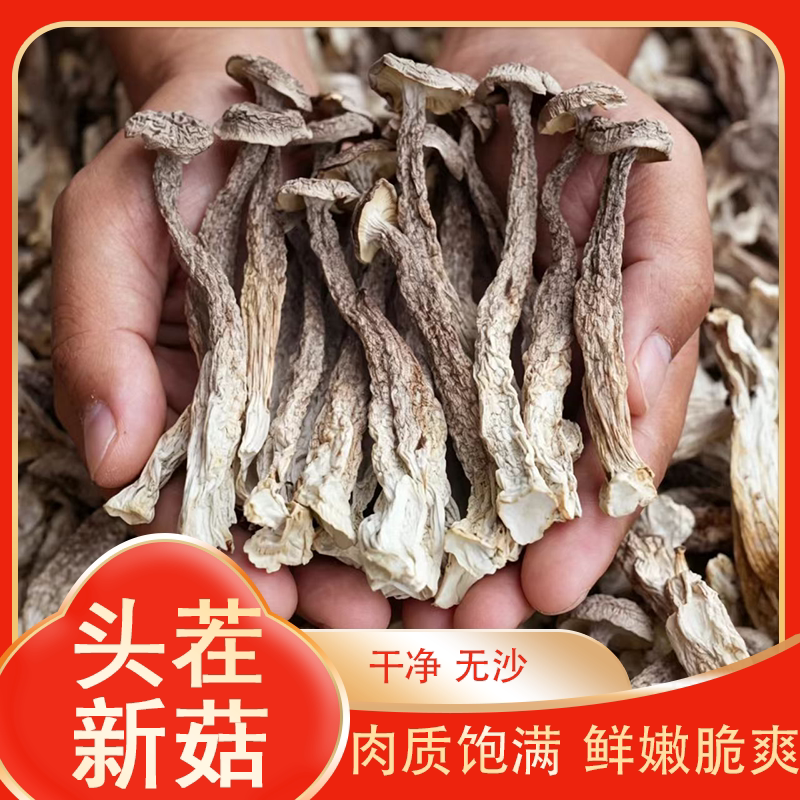 鹿茸菇新货头茬高山鹿茸菌无硫熏干货炒肉煲汤【D】