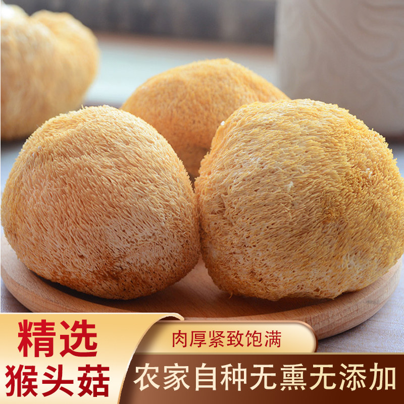 古田特产猴头菇 猴头菇干货菌类煲汤新货 干菌菇无熏硫