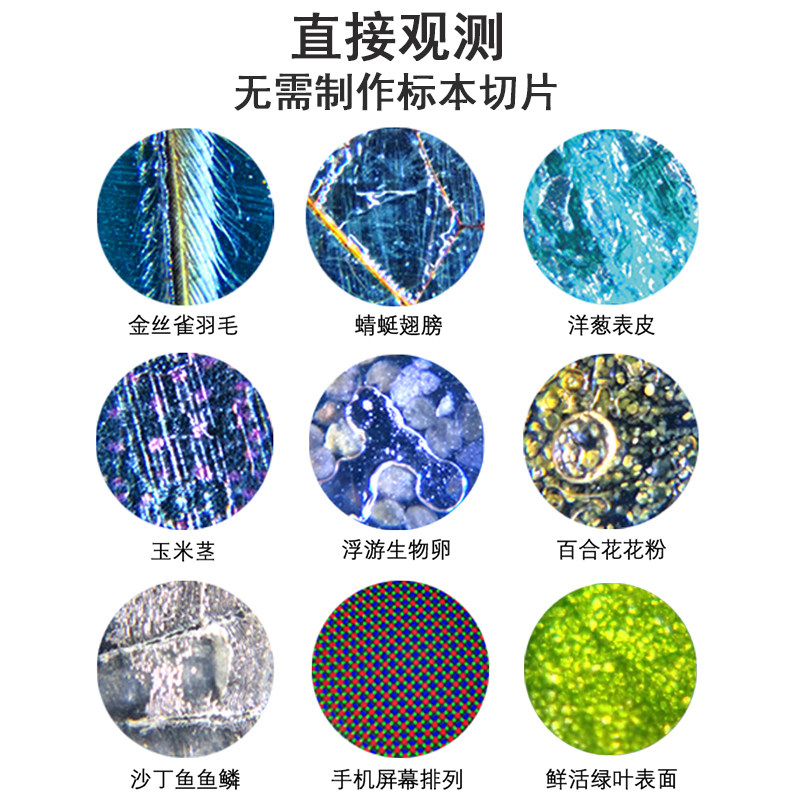 儿童便携式电子手机达尔文显微镜玩具益智小科实验套装礼物男孩生