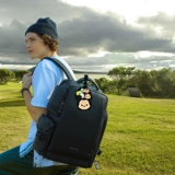 Дисней, милый чемодан для влюбленных, багажная бирка, Гонконг