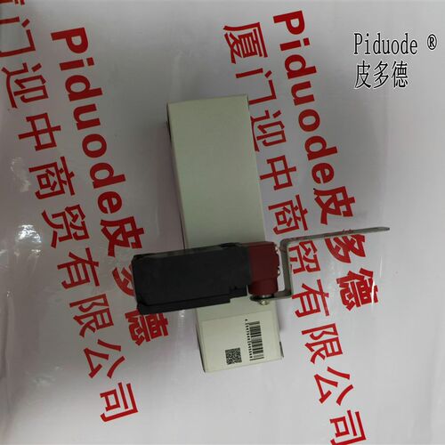 D4NH-2CAS D4NH-4AAS D4NH-4BAS D4NH-4CAS安全门铰链开关
