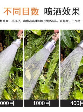 直喷水枪头浇花神器兰花育苗喷头2000目阳台淋菜专用浇水花卉多肉