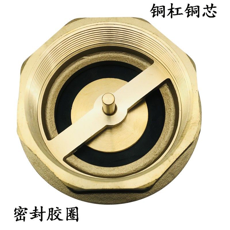 黄铜立式止回阀2.5寸3寸内螺纹加厚单向阀逆止阀水管水阀 65 80