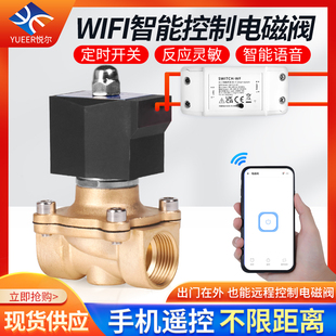 遥控电磁阀水阀220V智能手机wifi无线远程控制自动浇水开关铜阀门