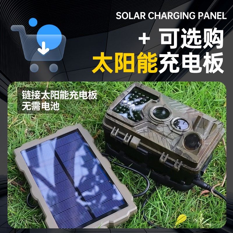 宝德徕BDL91WiFi 红外线照相机4K野外野生动物夜视摄影机延时录像