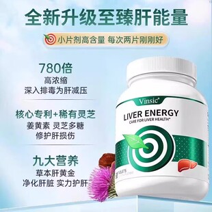 文斯可Vinsic灵芝片奶蓟草养肝能量男女熬夜解酒水飞蓟60粒