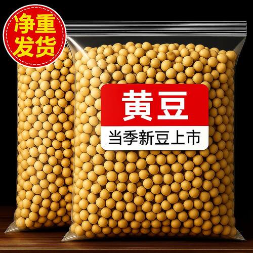 【净重批发】东北黄豆新货豆香浓郁颗粒饱满干净无杂滋补经典方