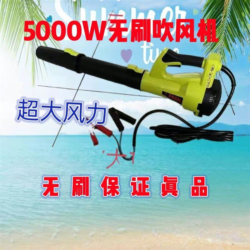 12V24V夹电瓶款大功率吹风机工业鼓风机大风力车载家用滤芯除尘器