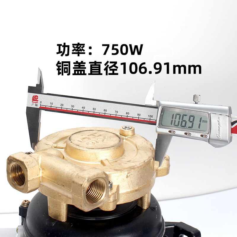 奥龙/正田多极泵佳先江心全自动蒸汽发生器水泵电动机马达抽水泵