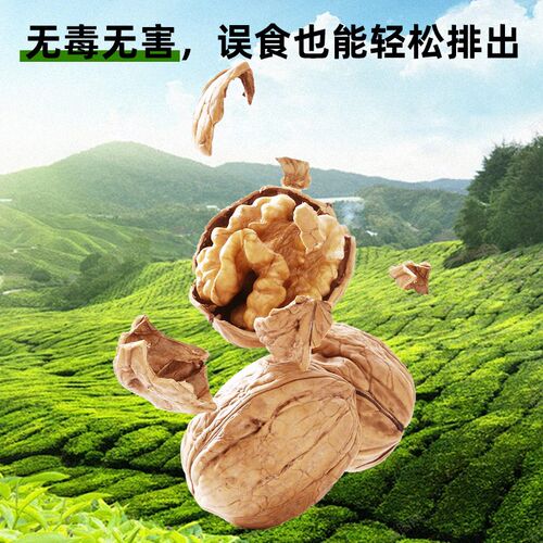 鹦鹉垫料天然核桃砂鸟类专用便沙鸟笼粪便除臭木屑雏幼用品鸟屎砂
