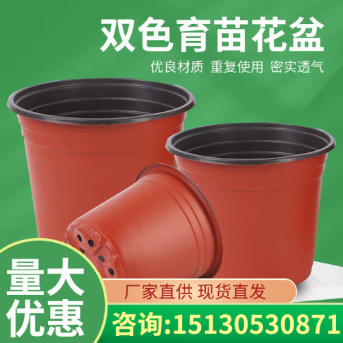 双色盆育苗盆加厚多肉塑料营养钵小号大号一次性营养杯育苗杯