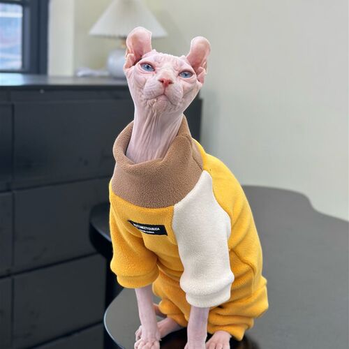 无毛猫秋冬衣服拼色柔软弹力大保暖包肚防寒卫衣斯芬克斯德文矮脚