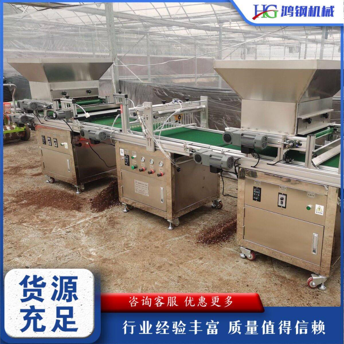 流水线蔬菜播种机 花卉烟草种子种植机 农用全自动穴盘育苗播种机