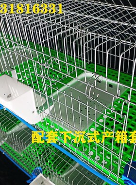 兔笼养殖笼加密加粗兔子笼子养兔子的笼子9位免清粪热镀锌种兔笼