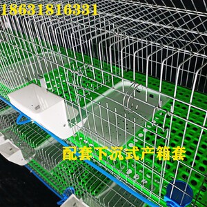兔笼养殖笼加密加粗兔子笼子养兔子的笼子9位免清粪热镀锌种兔笼