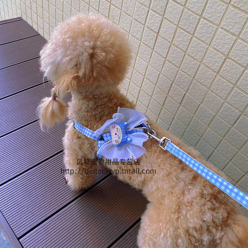 可爱卡通猫蕾丝胸背狗狗外出牵引绳小型犬泰迪溜狗链子溜猫牵引绳