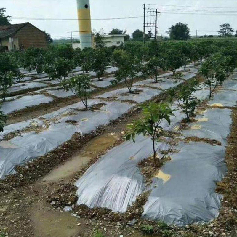 银黑地膜黑白农用种植种菜薄膜白膜加厚双色黑膜除草布除草地膜